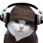 Pilar Montiel avatar